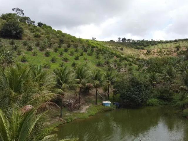 Sítio e chácara venda em Região Geográfica Imediata de Caruaru, Chá Grande