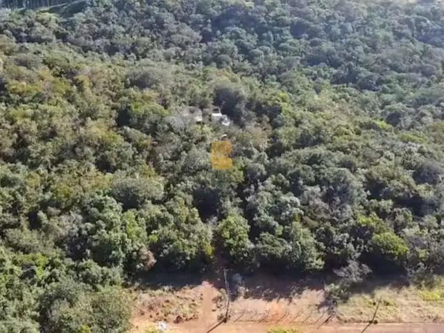 Sítio e chácara venda em Região Geográfica Imediata de Cuiabá, Região Metropolitana do Vale do Rio Cuiabá