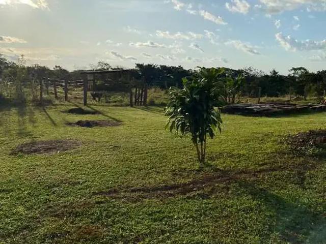 Sítio e chácara venda em Região Geográfica Imediata de Cuiabá, Região Metropolitana do Vale do Rio Cuiabá