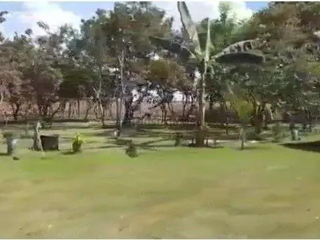 Sítio e chácara venda em Região Geográfica Imediata de Cuiabá, Região Metropolitana do Vale do Rio Cuiabá