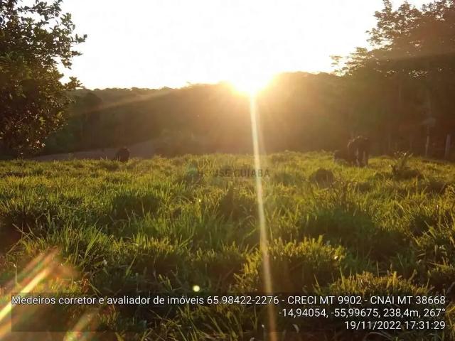 Sítio e chácara venda em Região Geográfica Imediata de Cuiabá, Região Metropolitana do Vale do Rio Cuiabá