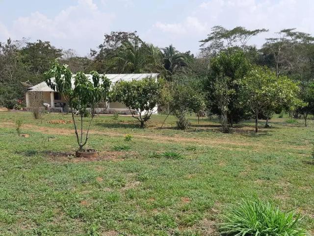 Sítio e chácara venda em Região Geográfica Imediata de Cuiabá, Região Metropolitana do Vale do Rio Cuiabá
