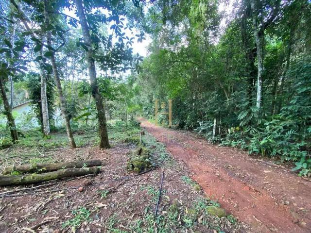 Sítio e chácara venda em Região Geográfica Imediata de Cuiabá, Região Metropolitana do Vale do Rio Cuiabá