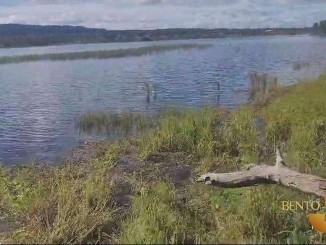 Sítio e chácara venda em CPA II, Cuiabá