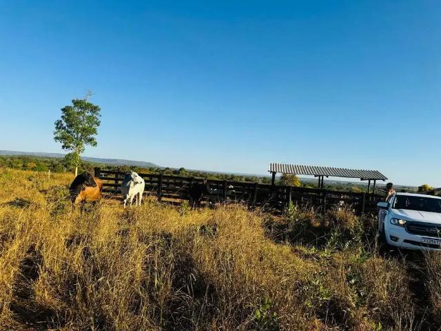 Sítio e chácara venda em Região Geográfica Imediata de Cuiabá, Região Metropolitana do Vale do Rio Cuiabá