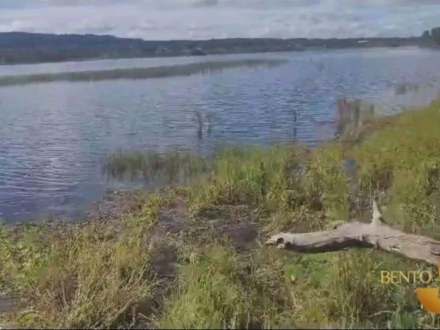Sítio e chácara venda em Região Geográfica Imediata de Cuiabá, Região Metropolitana do Vale do Rio Cuiabá
