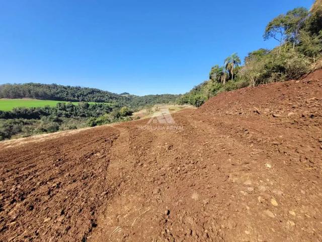 Sítio e chácara venda em Região Geográfica Imediata de Chapecó, Chapecó