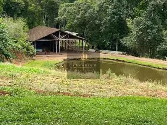 Sítio e chácara venda em Região Geográfica Imediata de Chapecó, Chapecó
