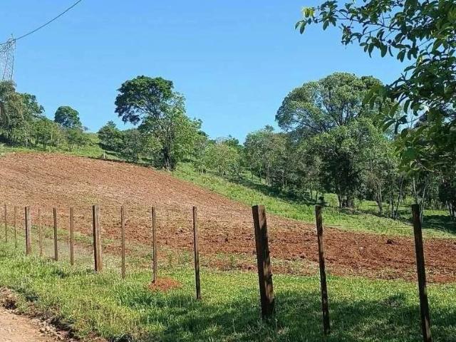 Sítio e chácara venda em Região Geográfica Imediata de Chapecó, Chapecó