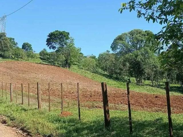 Sítio e chácara venda em Região Geográfica Imediata de Chapecó, Chapecó