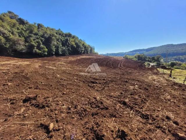 Sítio e chácara venda em Região Geográfica Imediata de Chapecó, Chapecó