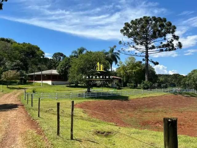 Sítio e chácara venda em Região Geográfica Imediata de Chapecó, Chapecó