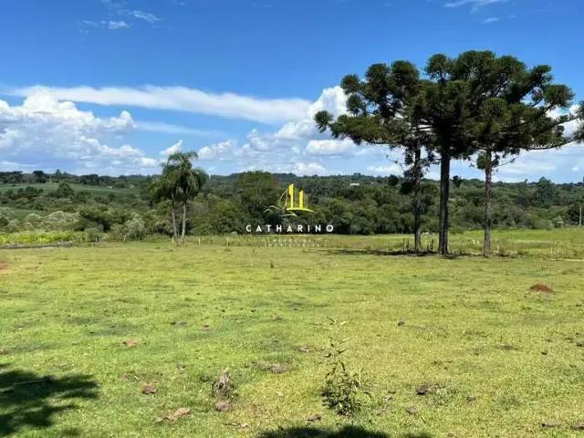 Sítio e chácara venda em Região Geográfica Imediata de Chapecó, Chapecó