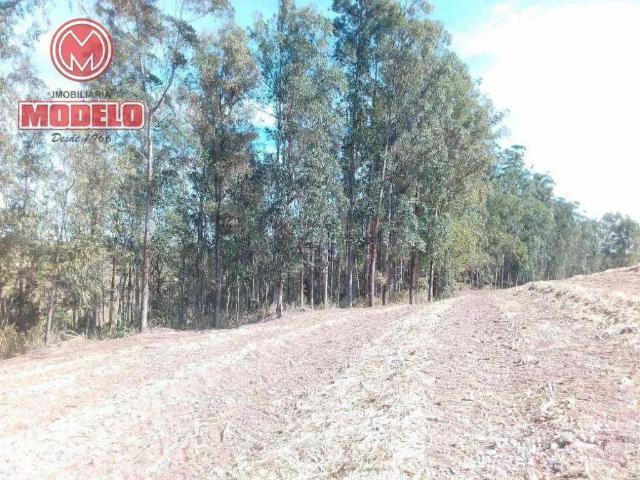 Sítio e chácara venda em Paraisolândia, Charqueada