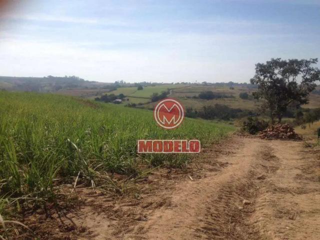 Sítio e chácara venda em Região Imediata de Piracicaba, Região Metropolitana de Piracicaba