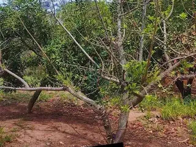 Sítio e chácara venda em Região Imediata de Piracicaba, Região Metropolitana de Piracicaba
