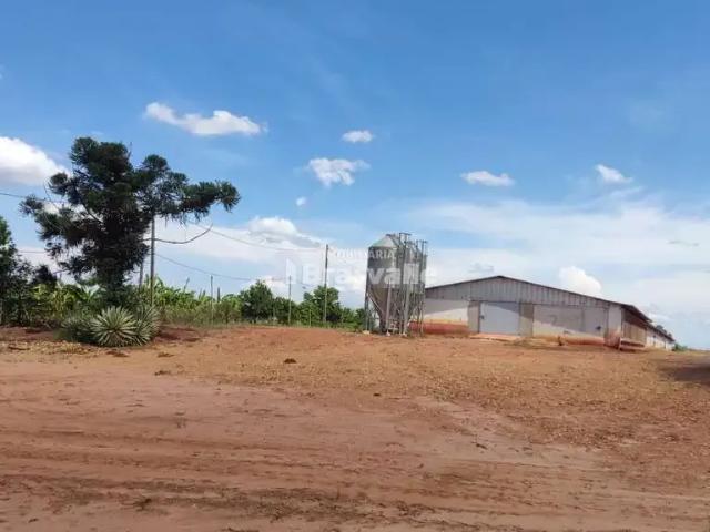 Sítio e chácara venda em Região Geográfica Imediata de Pato Branco, Chopinzinho