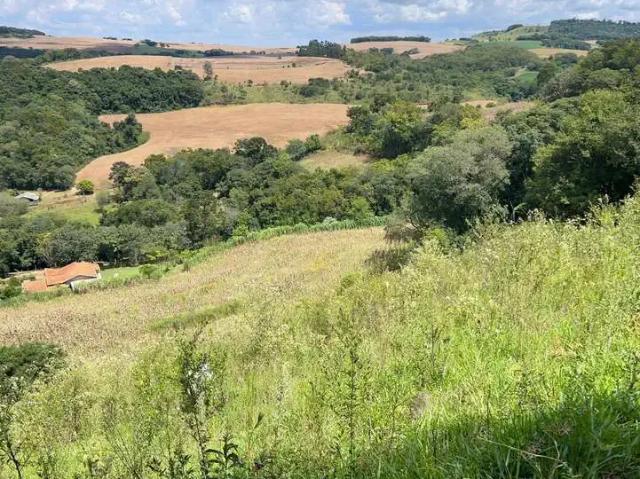 Sítio e chácara venda em Região Geográfica Imediata de Pato Branco, Chopinzinho