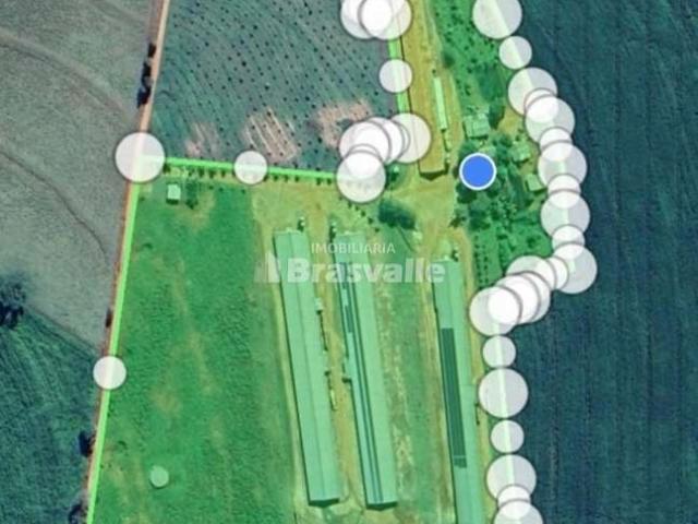 Sítio e chácara venda em Região Geográfica Imediata de Pato Branco, Chopinzinho
