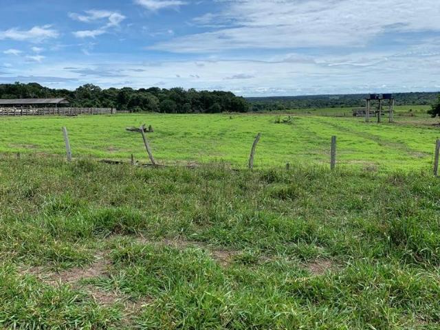 Sítio e chácara venda em Chupinguaia, Região Geográfica Intermediária de Ji-Paraná