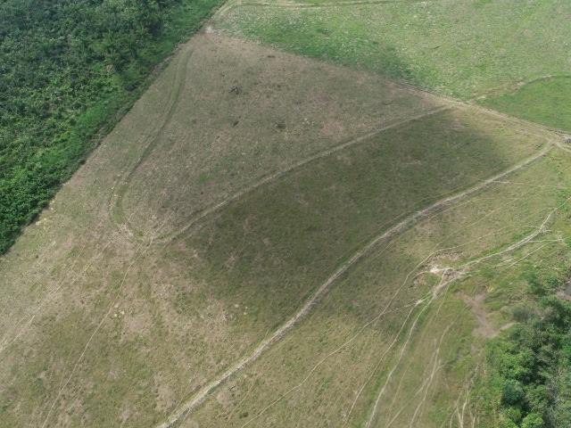 Sítio e chácara venda em Chupinguaia, Região Geográfica Intermediária de Ji-Paraná
