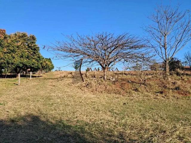 Sítio e chácara venda em Região Geográfica Imediata de Cianorte, Cianorte