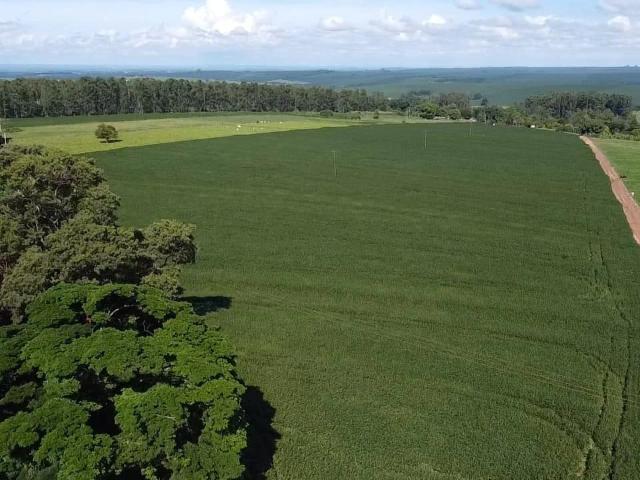 Sítio e chácara venda em Cianorte, Região Geográfica Intermediária de Maringá