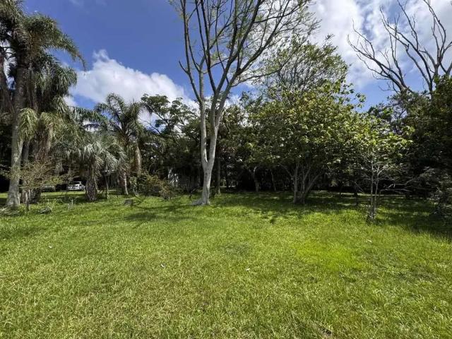 Sítio e chácara venda em Região Geográfica Imediata de Tramandaí - Osório, Aglomeração Urbana do Litoral Norte