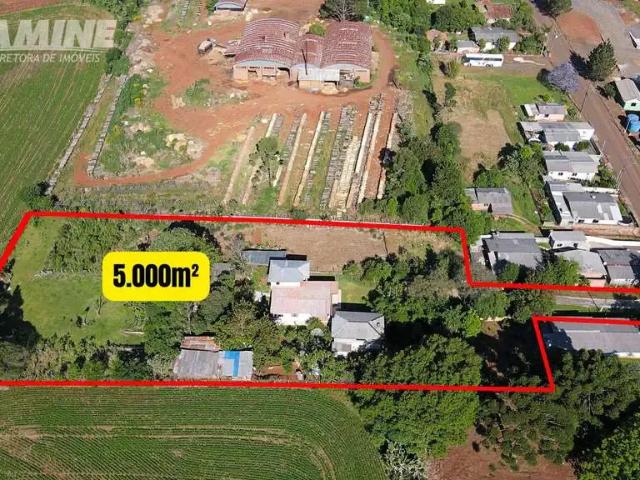 Sítio e chácara venda em Região Geográfica Imediata de Pato Branco, Clevelândia