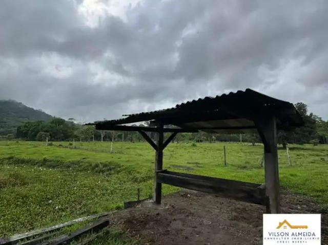 Sítio e chácara venda em Região Geográfica Imediata de Volta Redonda-Barra Mansa, Barra Mansa