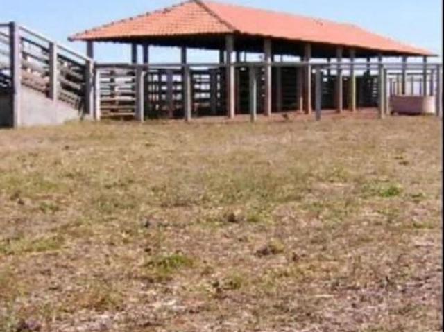 Sítio e chácara venda em Cocalinho, Região Geográfica Intermediária de Barra do Garças