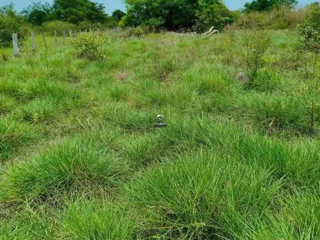 Sítio e chácara venda em Região Geográfica Imediata de Água Boa, Cocalinho