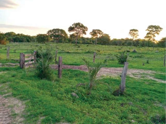 Sítio e chácara venda em Cocalinho, Região Geográfica Intermediária de Barra do Garças
