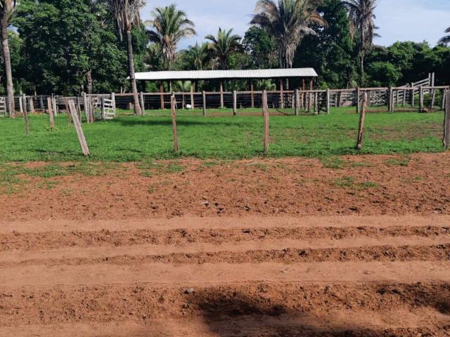 Sítio e chácara venda em Cocalinho, Região Geográfica Intermediária de Barra do Garças