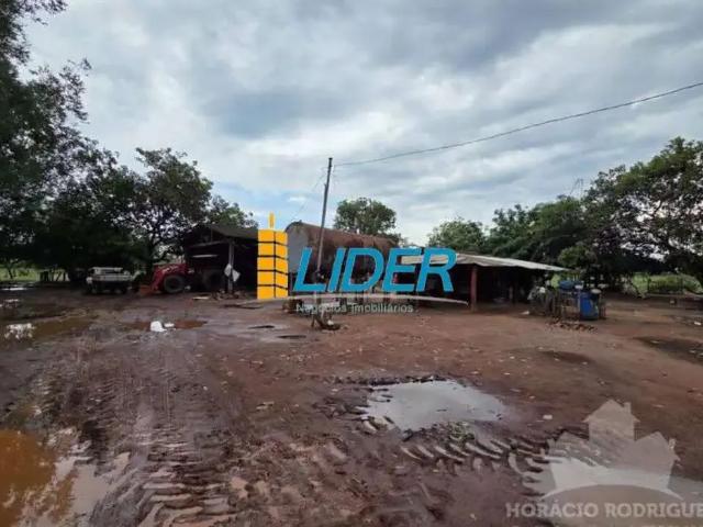 Sítio e chácara venda em Região Geográfica Imediata de Água Boa, Cocalinho