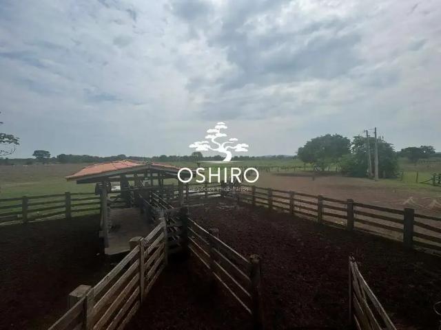 Sítio e chácara venda em Região Geográfica Imediata de Água Boa, Cocalinho