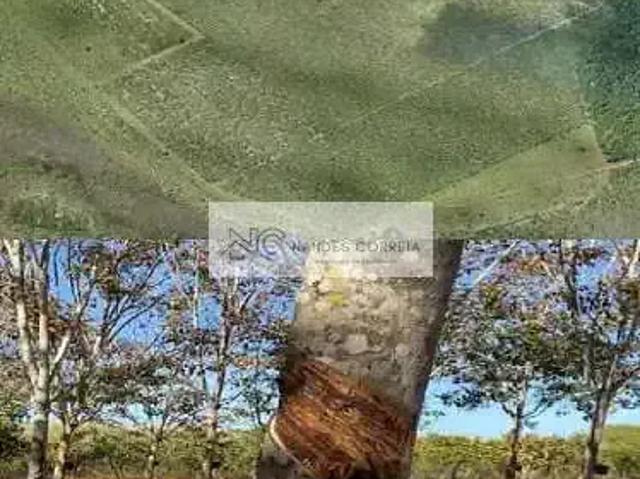 Sítio e chácara venda em Região Geográfica Imediata de Água Boa, Cocalinho