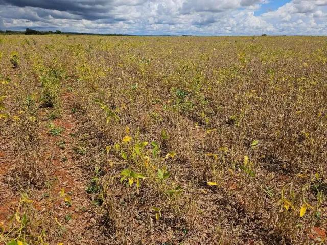 Sítio e chácara venda em Região Geográfica Imediata de Águas Lindas de Goiás, Região Integrada de Desenvolvimento do Distrito Federal e Entorno