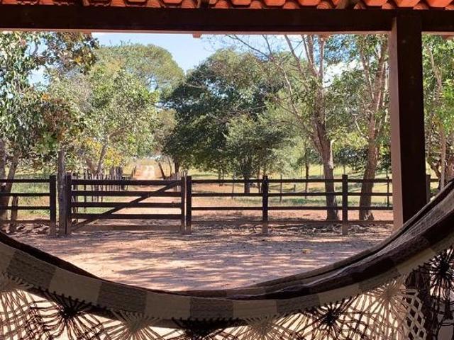 Sítio e chácara venda em Girassol, Cocalzinho de Goiás