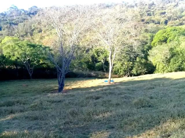 Sítio e chácara venda em Região Geográfica Imediata de Águas Lindas de Goiás, Região Integrada de Desenvolvimento do Distrito Federal e Entorno