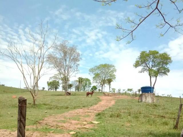 Sítio e chácara venda em Região Geográfica Imediata de Águas Lindas de Goiás, Região Integrada de Desenvolvimento do Distrito Federal e Entorno