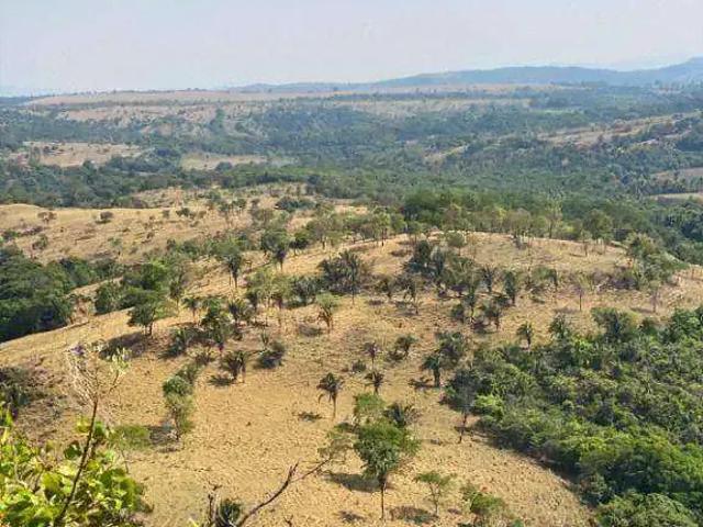 Sítio e chácara venda em Região Geográfica Imediata de Águas Lindas de Goiás, Região Integrada de Desenvolvimento do Distrito Federal e Entorno