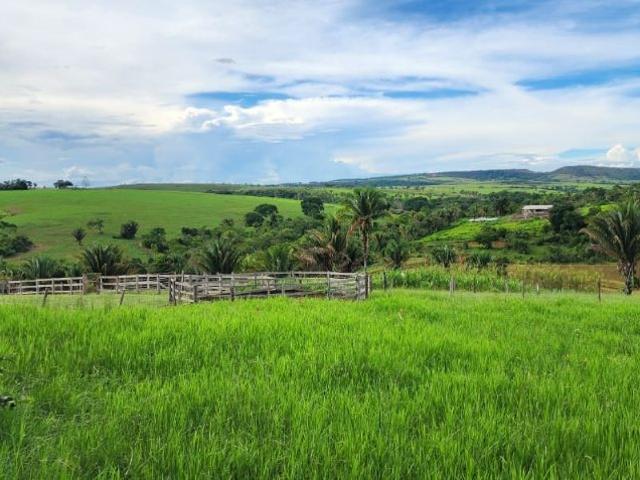 Sítio e chácara venda em Região Geográfica Imediata de Águas Lindas de Goiás, Região Integrada de Desenvolvimento do Distrito Federal e Entorno