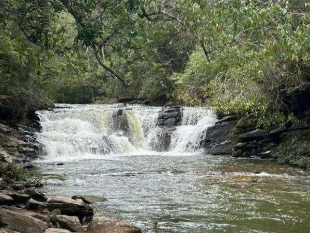 Sítio e chácara venda em Região Geográfica Imediata de Águas Lindas de Goiás, Região Integrada de Desenvolvimento do Distrito Federal e Entorno