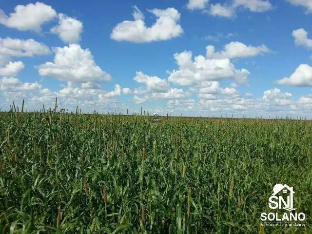 Sítio e chácara venda em Cocos, Região Nordeste