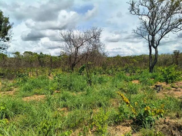 Sítio e chácara venda em Região Geográfica Imediata de Uruaçu - Niquelândia, Colinas do Sul