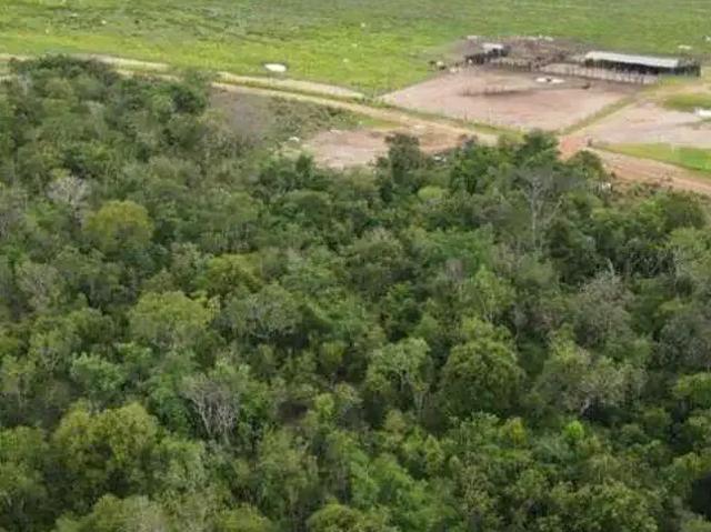 Sítio e chácara venda em Colinas do Tocantins, Região Norte