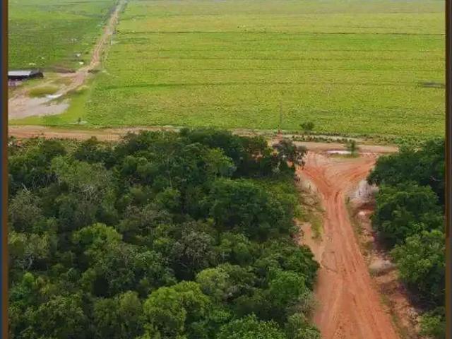 Sítio e chácara venda em Colinas do Tocantins, Região Norte