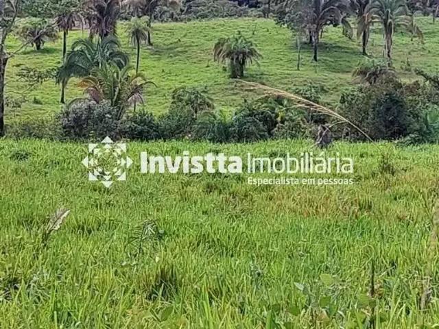 Sítio e chácara venda em Região Geográfica Imediata de Guaraí, Região Norte