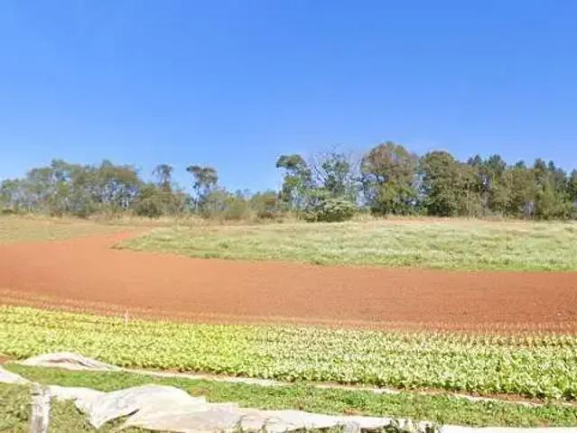 Sítio e chácara venda em Região Geográfica Imediata de Curitiba, Região Metropolitana de Curitiba